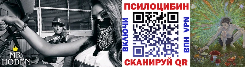 Псилоцибиновые грибы мухоморы  Кудымкар 